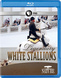 Nature: Legendary White Stallions